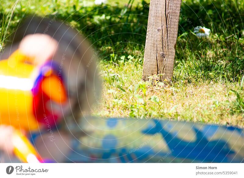 Paddling pool with child in a dry meadow Refreshment bathe Wet Child water features ardor Dry Water Swimming & Bathing Infancy Flower Shadow fun Joy