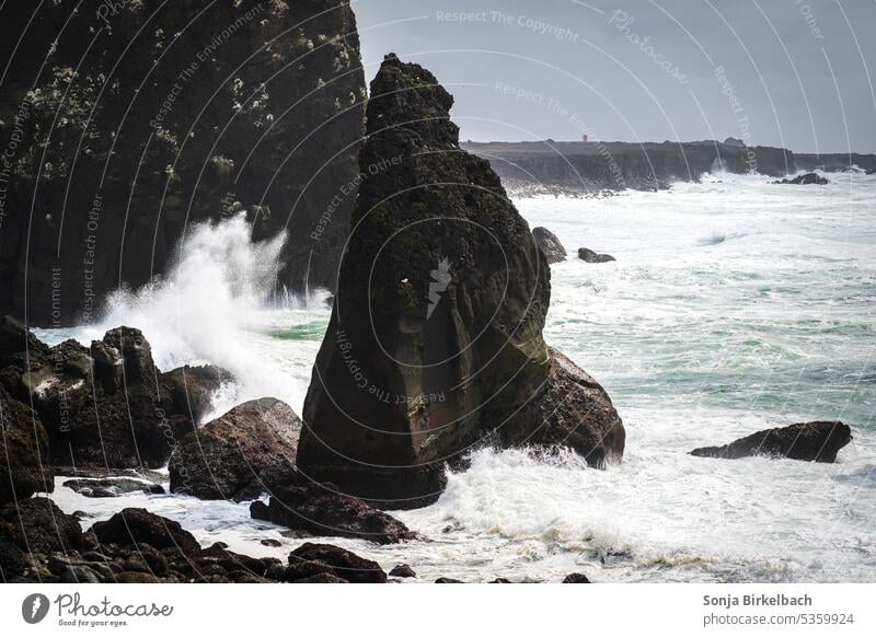 Valahnukamöl- waves and rocks and endless ocean around iceland valahnukamöl nordic sea reykjanes reykjanesbaer cliffs formation birds gulls beaks spray