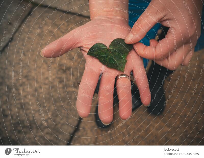 found a little green heart Wedding band Attentive blurriness Lifestyle Joie de vivre (Vitality) Loyalty Friendship Sincere Palm of the hand Display of affection