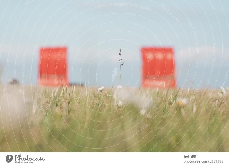 a blade of grass in focus in front of two blurred red beach chairs selective focus blurred background Red Beach chair Romance Loneliness Idyll Cloudless sky