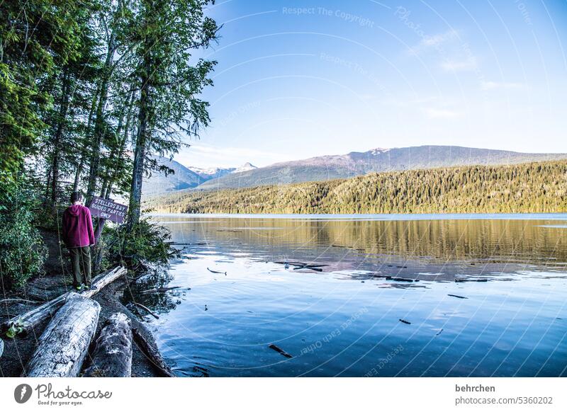 haven of peace Mountain Vacation & Travel Sky Water Trip Clearwater Lake Fantastic Forest Far-off places Colour photo Canada Landscape Wanderlust mountain lake