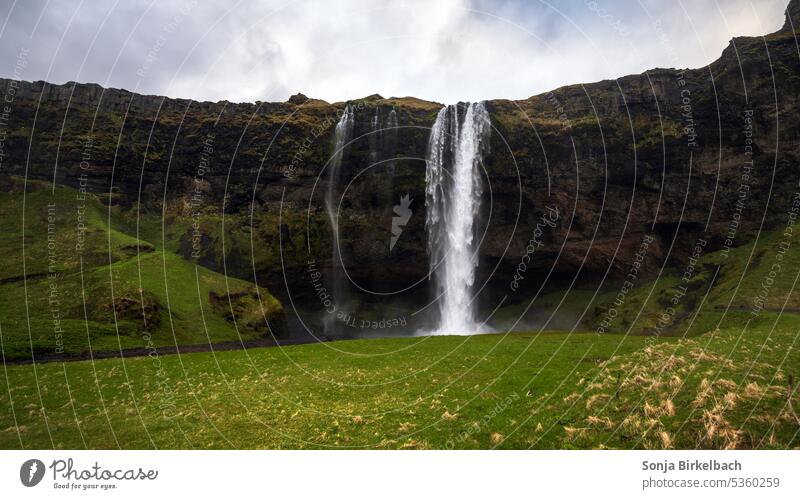 Seljalandsfoss in summer - water falling on green green grass ;) seljalandsfoss waterfall iceland nature spray travel nordic rock scenery stream attraction