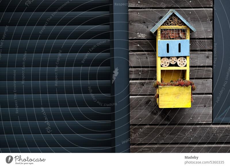 Small insect hotel in yellow and blue with pointed gable on beautiful old facade of wood on the old castle ruins castle Gleiberg in Wettenberg Krofdorf-Gleiberg near Giessen in Hesse