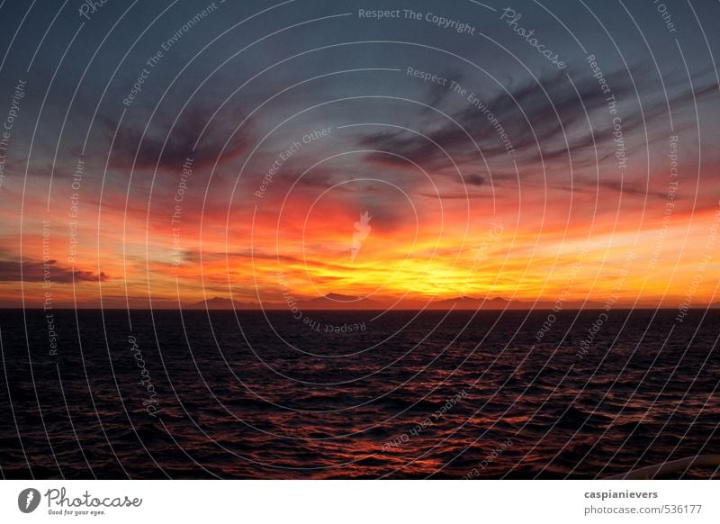 Sunset over New Zealand Environment Nature Landscape Water Clouds Sunrise Summer Cook Strait South Island Beautiful Orange Red Black Holiday Ocean Waves