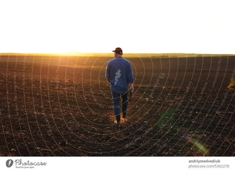 Agribusiness. Back view of male farmer walking through on cultivated plowed field at sunset in spring. Owner agricultural farm is checking and examining farmland before sowing agriculture crops.