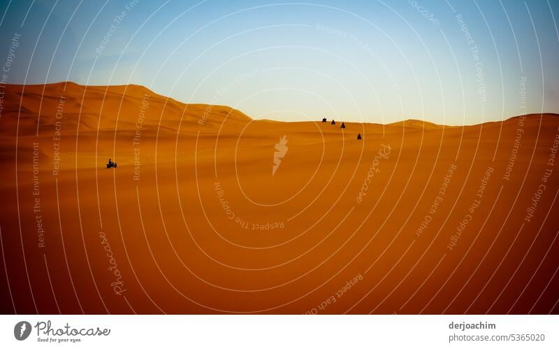 Modern caravan travels through the golden desert sand. desert landscape Colour photo Exterior shot Landscape Deserted Summer duene Sand Beach dune Nature