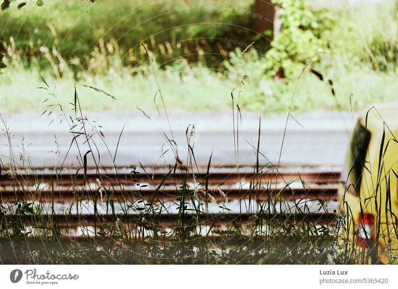 yellow small car dashes into the green... Track Yellow Transport Railroad tracks Rail transport Driving Track bed Summer Summery motion blur Light Shadow sunny