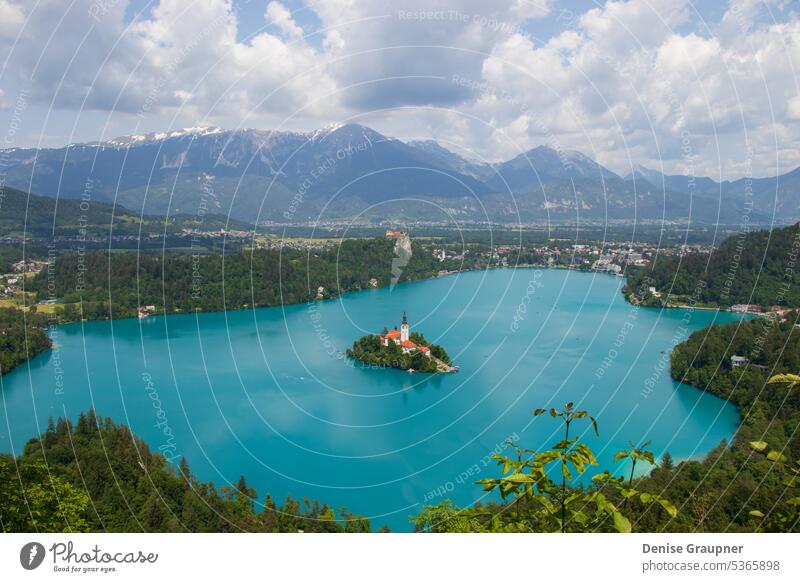 Lake in Bled in Slovenia Water travel Nature pretty Tourism view Church Landscape Sky Island background Castle Catholic Blue Reflection Landmark Europe Mountain