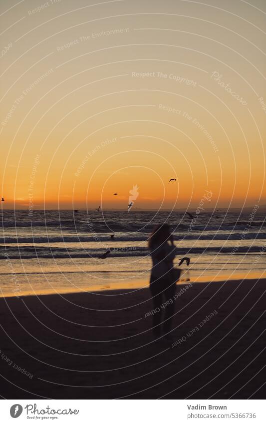 Sunset on the ocean with seagull and girl behind Water reflection Wing Waves Seagull Beach Ocean gulls seagulls Freedom Blue Bird River coast woman