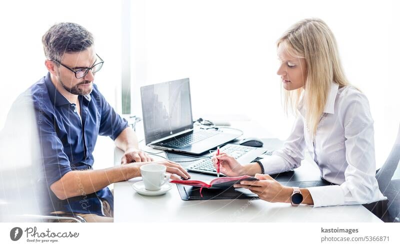 Business meeting. Client consulting. Confident business woman, real estate agent, financial advisor explaining details of project or financial product to client in office.