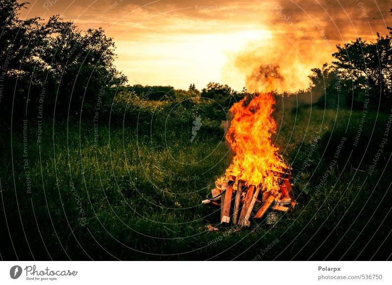 Bonfire Tourism Camping Summer Nature Landscape Sky Warmth Tree Grass Forest Dark Hot Wild Yellow Red Black Ashes Blaze burn burning Fireplace charcoal Coal