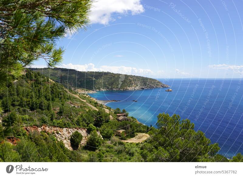 Elba - southeast coast Mediterranean sea Ginevro Italy Ocean Thyrrenian sea Tuscan Archipelago Island Forest Blog Southeast coast Province of Livorno Bay