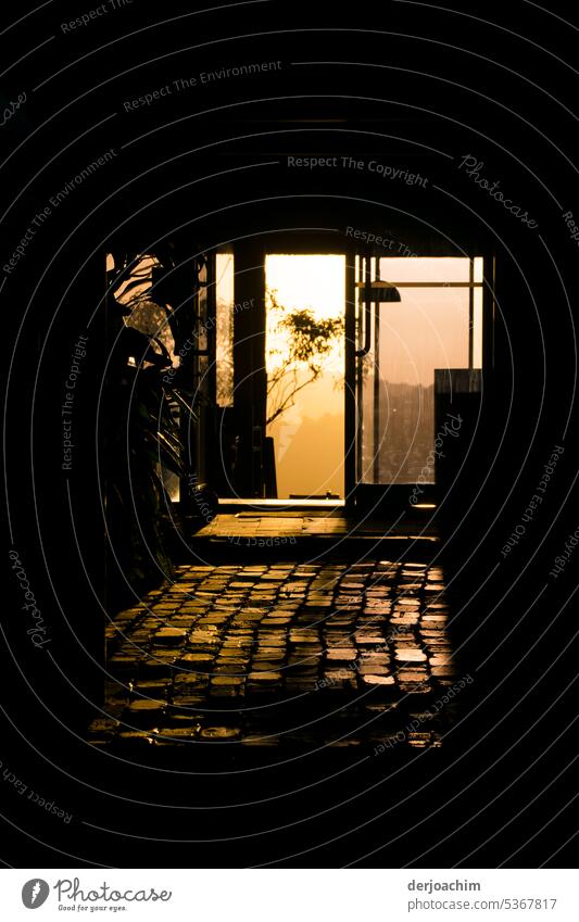 The way through the restaurant into the evening light Nature Twilight Summer Evening Light Calm Deserted tranquillity Mood lighting Landscape romantic