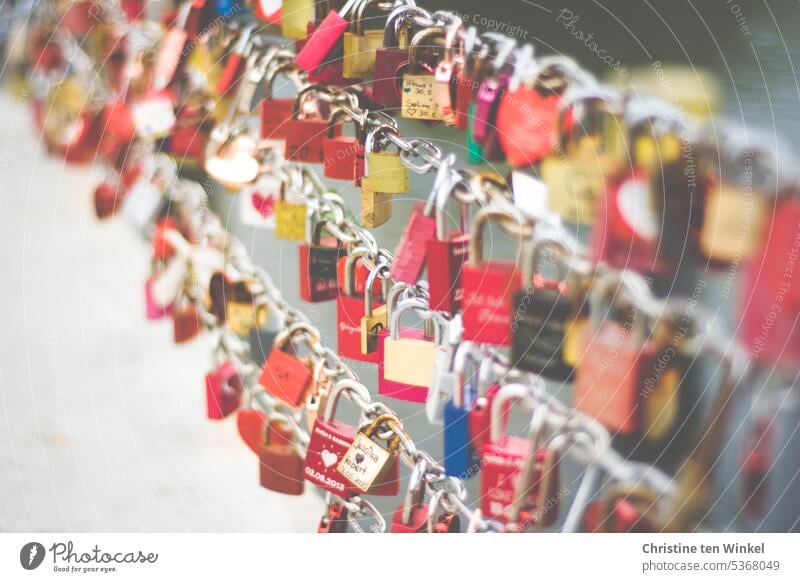 Love locks on a bridge railing Locks Love Locks chained Bridge railing variegated Many Love padlock Declaration of love Display of affection Padlock Infatuation