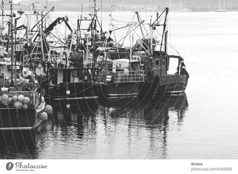 Cuddling in the harbor Fishing boat Navigation Water Harbour Ocean Fishery Nostalgia fishing Watercraft Fishing port tranquillity Stationary Ready Wait Break