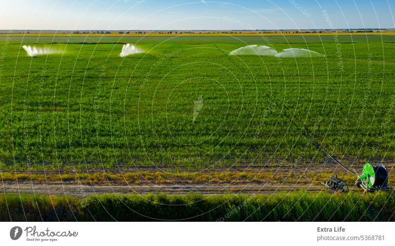 Aerial view on high pressure agricultural water sprinkler, sprayer, sending out jets of water to irrigate corn farm crops Above Agriculture Cereal Coil Corn