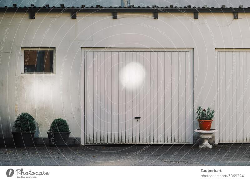 Garage door on white wall with light reflection, box trees and flower pot Flowerpot White Light Reflex Wall (building) Window Beech Gloomy unostentatious