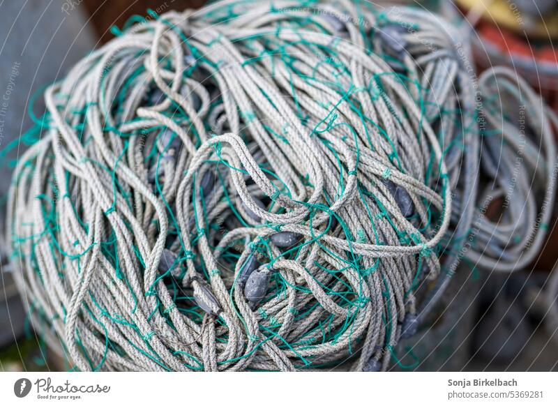 Fischers Fritz fishes...close up of a fishing net Net Fishing net trawl Harbour Ocean Fishing port Fisherman Knot Rope Network Catch Fishery Reticular