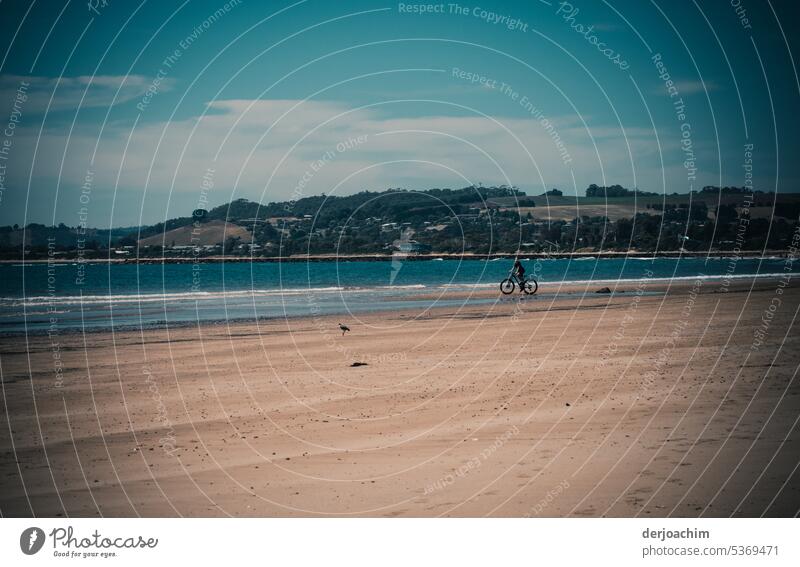 Sporty cycling on the beach. ride a bike Cycling Mobility Means of transport Driving Leisure and hobbies Exterior shot Cycle path Eco-friendly In transit