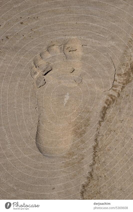 Large footprint in the sand. Footprints in the sand Beach Summer coast Exterior shot Sandy beach Relaxation footprints vacation Deserted Ocean Nature