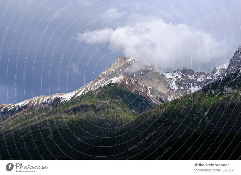 Cloudy summit Engadine Dolomites Alps mountain Peak snow-covered Forest Clouds timber line cloudy Sunbeam Mountain Spring old snow Storm clouds unsteady