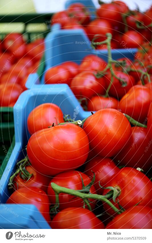 UT Bock on Bochum I low calorie I paradeiser Tomato Nutrition Markets Vegetarian diet Vegetable Plant Healthy Fresh Ingredients Greengrocer Red Organic produce