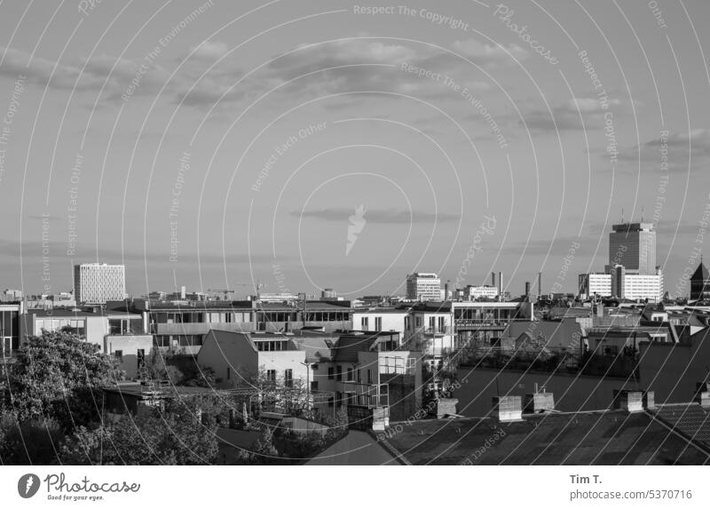 View from the roof over Prenzlauer Berg Skyline Berlin b/w Summer Downtown Town Capital city Black & white photo Exterior shot Deserted Day Old town bnw