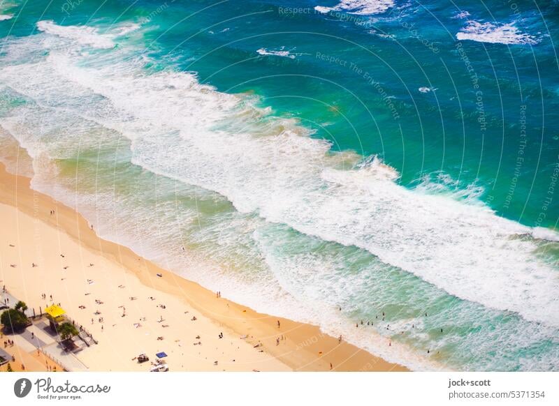 Beach summer sunshine viewed from above Surf Ocean Pacific Ocean Bird's-eye view Background picture Pacific beach Australia Gold Coast Neutral Background