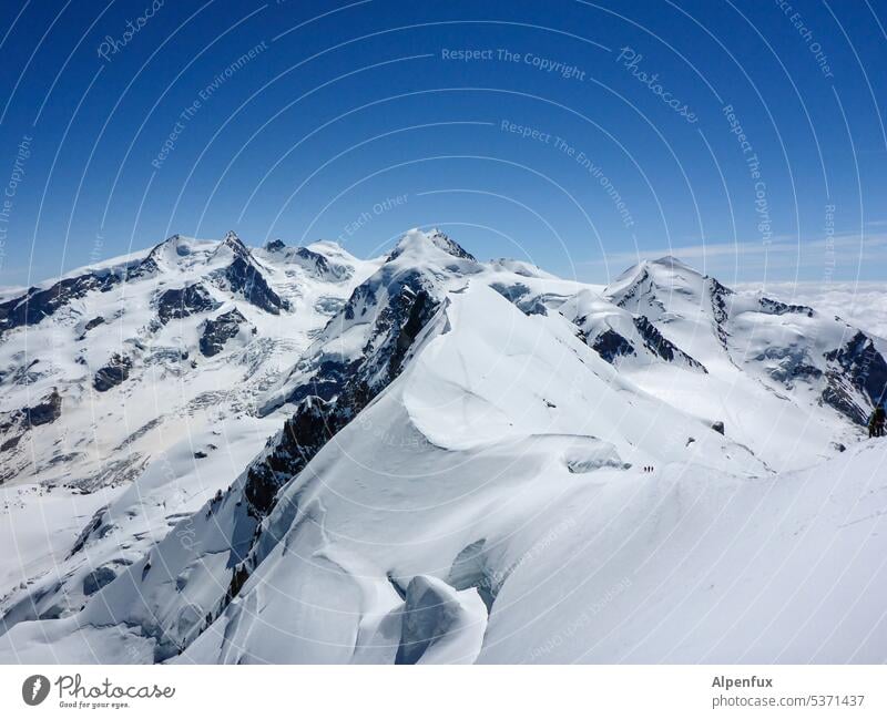 Monte Rosa Panorama Mountain Alps Peak Exterior shot Colour photo Rock Snowcapped peak Glacier Nature Landscape Panorama (View) Willpower Mountaineering