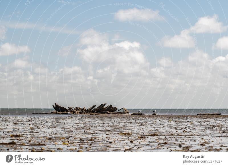 Wreck Mariann in front of the beach Braderup Shipwreck in front of Braderup beach Mariann shipwreck Low tide Tide Wadden Sea National Park Mud flats Plank