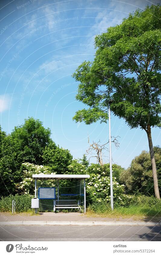 Province | waiting for a bus that never comes Stop (public transport) Bus Bus stop Weather protection device bench waste bins Lantern curb Schedule (transport)