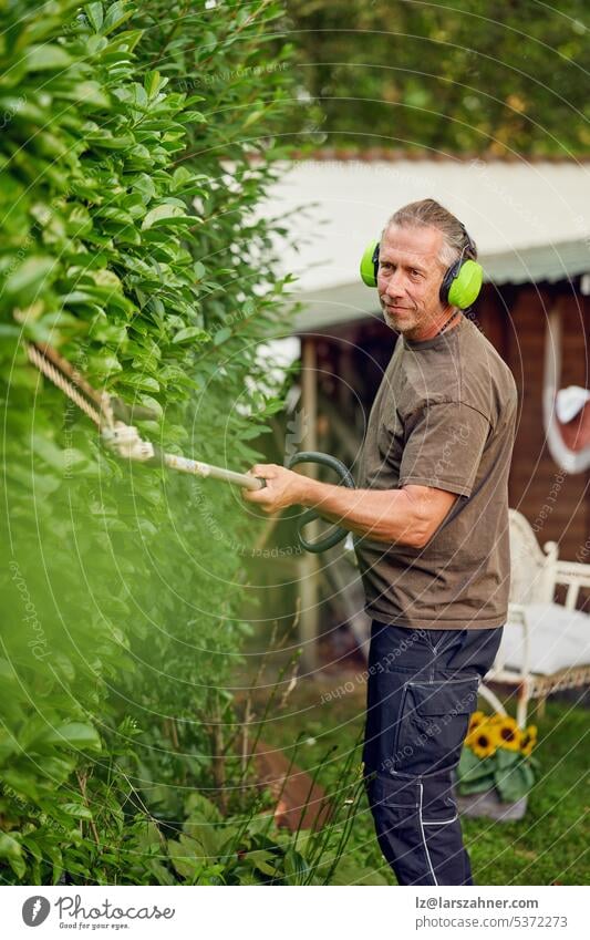 Gardener trimming a hedgerow using a hedge trimmer in the garden of a customer with earmuffs on for protection craftsman gardener digital outside concept