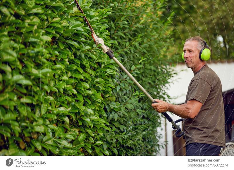 Gardener trimming a hedgerow using a hedge trimmer in the garden of a customer with earmuffs on for protection craftsman gardener digital outside concept