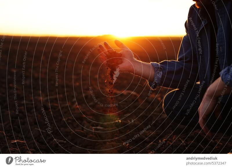 Male farmer's hand holds a handful of dry ground and checks soil fertility and quality before sowing crops on plowed field at sunset. Cultivated land. Concept of organic agriculture and agribusiness