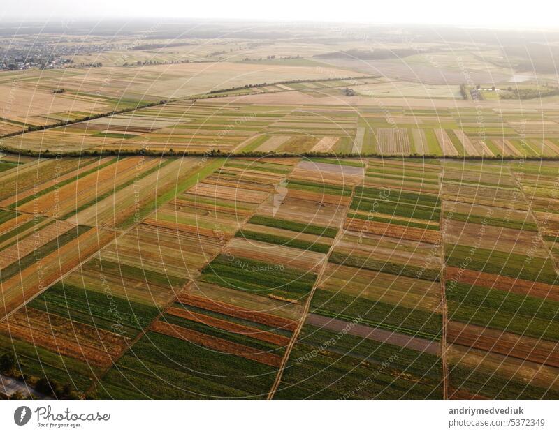 Aerial view of cultivated green fields and agricultural parcels with gold wheat, straw rolls. Countryside landscape, rows geometric shape fields. Concept of agrarian industry. Ukraine