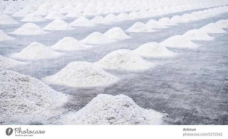 Sea salt farm. Pile of brine salt. Raw material of salt industrial. Sodium Chloride mineral. Evaporation and crystallization of sea water. White salt harvesting. Agriculture industry. Traditional farm