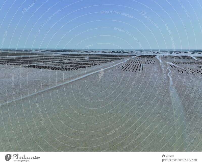 Aerial view of Oyster farm. Sustainable farming. Oyster farming is an aquaculture practice. Oyster farming at Ang Sila town, Chonburi, Thailand. Landscape oyster beds at low tide on summer sunny day.