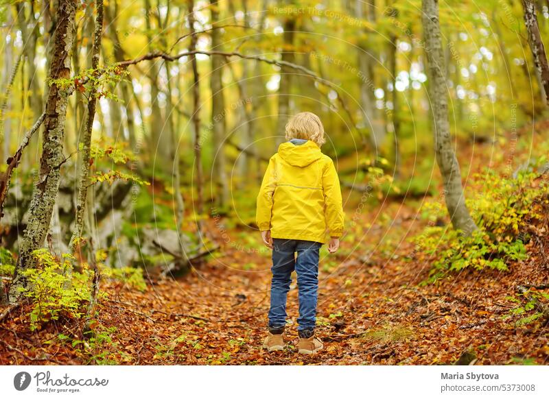 Elementary school boy walks forest in Lovcen National Park, Montenegro on an autumn day. An inquisitive boy exploring nature. Tourism and travel for family with kids.