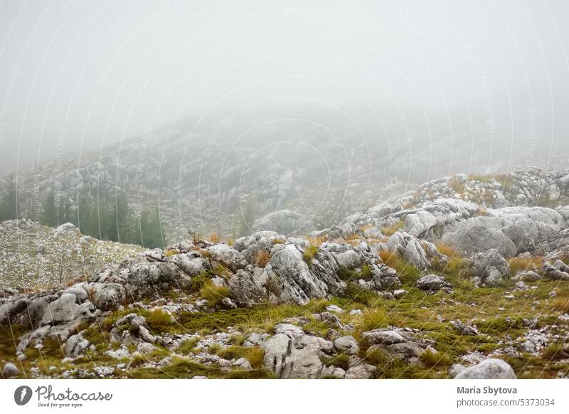 A picturesque landscape of a mountain valley on a foggy day alps europe nature adventure amazing background wilderness rainy summer autumn moss cloudy