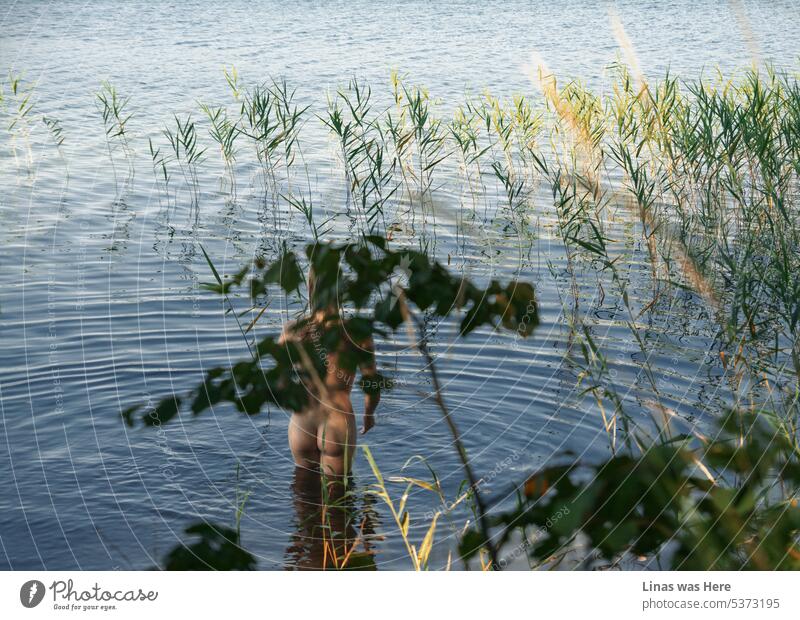 It’s a fine summer day and a gorgeous naked girl is ready for a swim. Bluewater all around and some green plants. Her sexy curves make this lake's temperature rise.