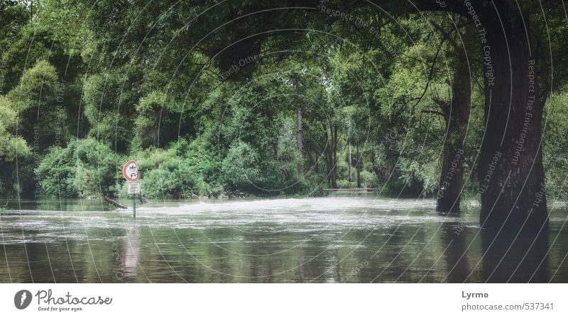 wild flood Environment Nature Landscape Plant Animal Water Climate Climate change Weather Bad weather Storm Fog Rain Tree Forest River bank Signs and labeling