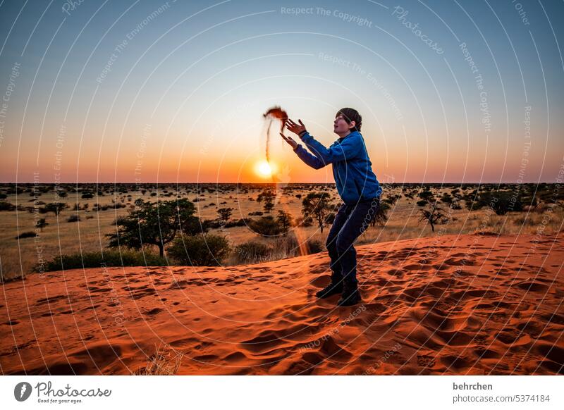 adorably Tracks Joy cheerful fortunate Playing balanced Infancy Child Boy (child) Kalahari desert Sky wide Sunlight beautifully Twilight Fantastic Hope Dream