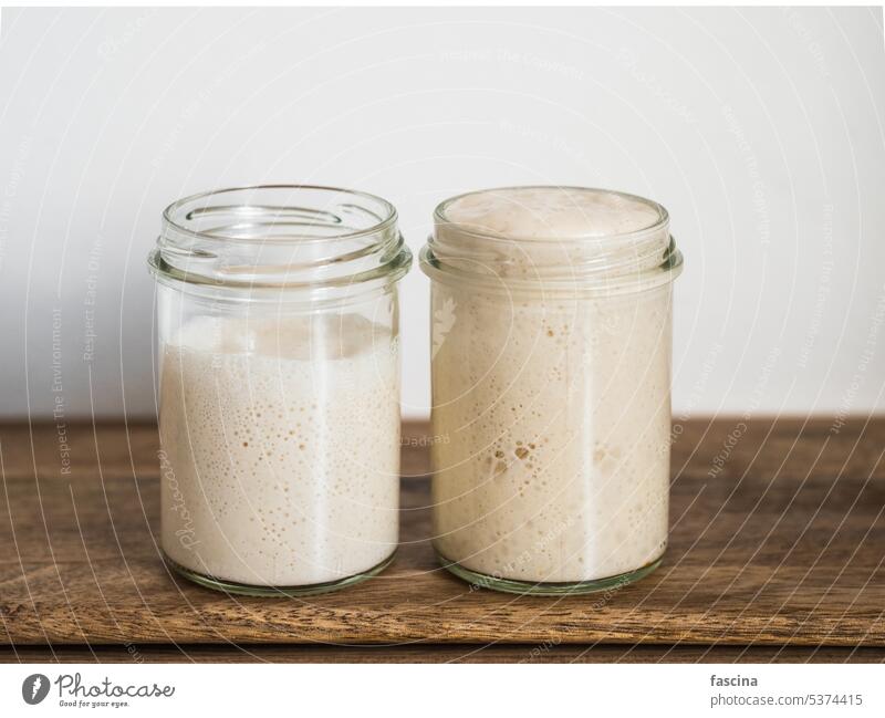 Wheat sourdough starter different hydration levels sourdough hydration dough ingredient bake baking being sour dough bread making breadmaking bread-making glass