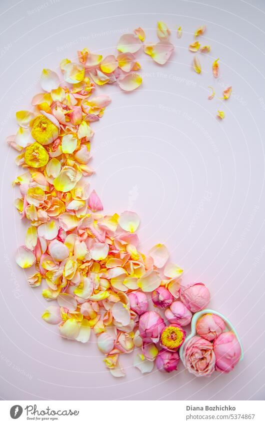 Rose buds and petals on a textured paper background. Background for Mother's Day, St. Valentine's Day, March 8. Top view, flat lay. Card design. Template with copy space.