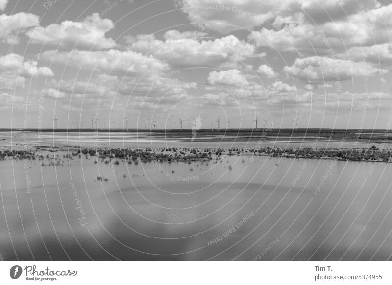 Wind power Lusatia Wind energy plant Lausitz forest Summer Water Sky b/w open pit mining Black & white photo B/W B&W Day Exterior shot Deserted Calm Loneliness