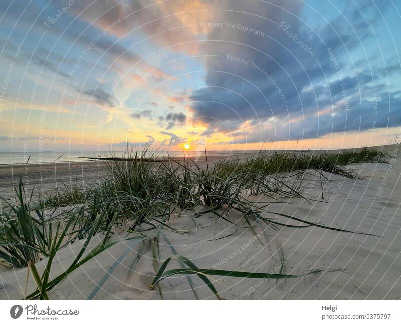 Sunset on the island Evening Evening sun Sunlight sundown Beach Sand Marram grass Sky Clouds Water Ocean North Sea Island North Sea Islands Borkum wide