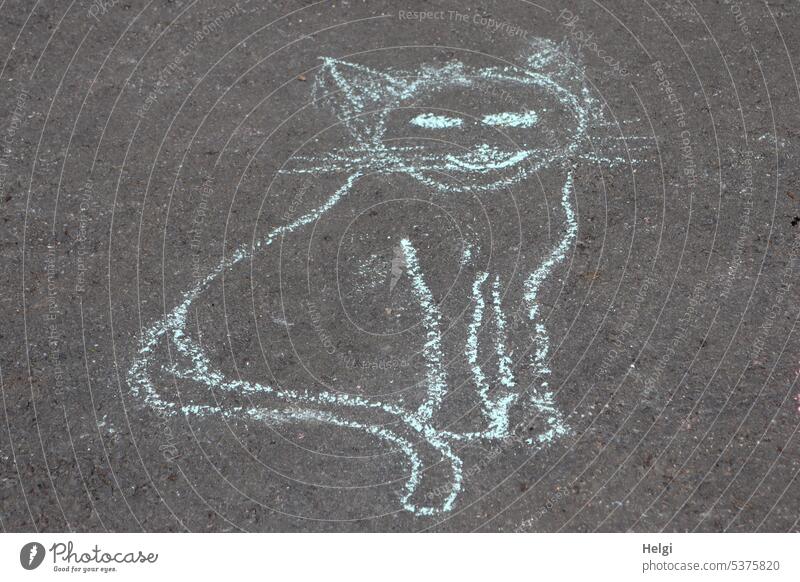 Street Art - MIAU Cat street art manner Children artwork painting Chalk drawing Painted Street art Creativity Colour photo Town Exterior shot Asphalt Deserted