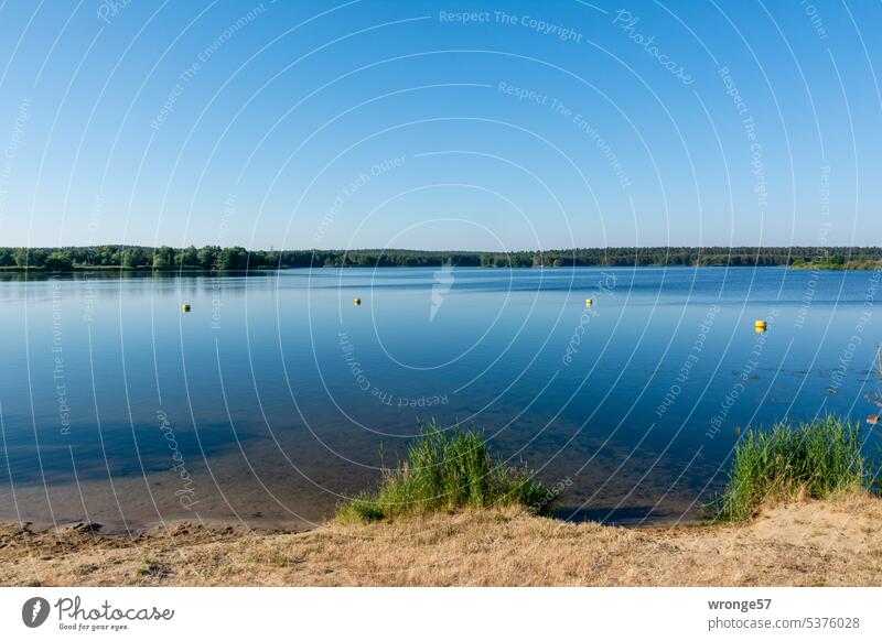 Enjoy the silence - morning atmosphere at Lake Niegripp morning mood the early bird Niegripper Lake Swimming lake Camping site Water Summer Swimming & Bathing