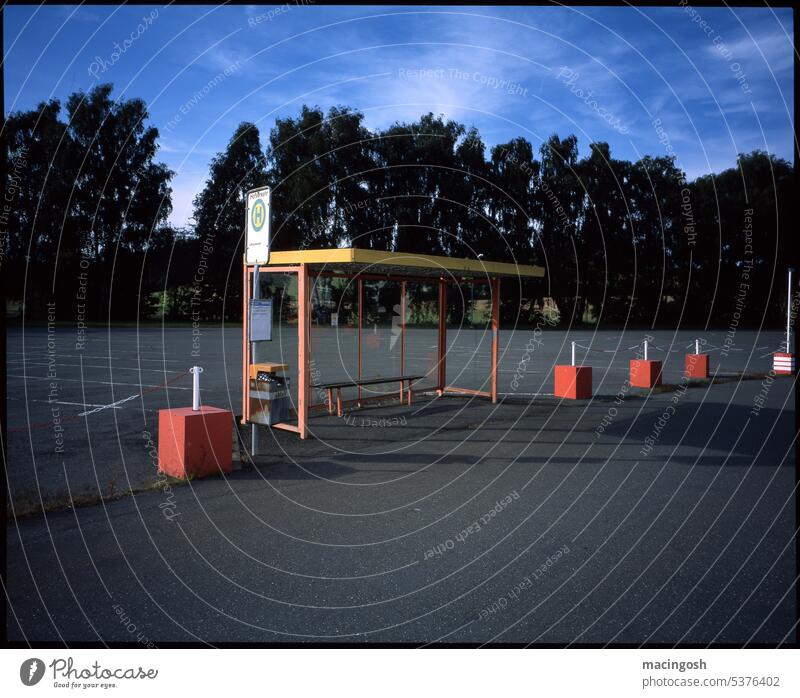 Bus stop in the evening Street Transport Public transit Bus travel Passenger traffic Exterior shot Colour photo Means of transport Road traffic