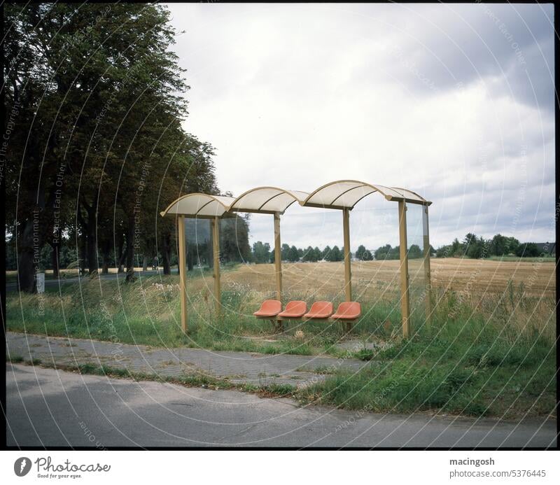 Bus stop in the Provinzk Province country Landscape Nature Overgrown Environment Agriculture Field Village Public transit individual transport turnaround